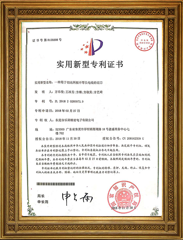 实用新型专利证书 实用新型专利证书